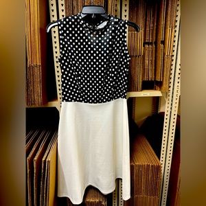 Vintage Dress from Sears from the 60’s